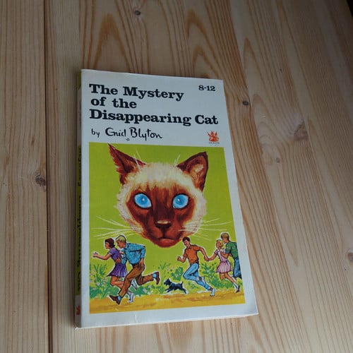 The Mystery of the Disappearing Cat