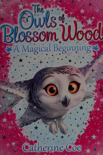 A Magical Beginning